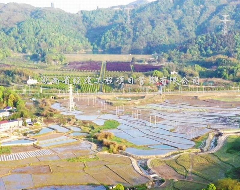 ɳгɳذɳ8߱׼ũｨĿ(),ʡĿ޹˾